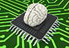 Brain ｜ CPU ｜ Brain / Computer ｜ Human Dock / MRI ｜ Instruction / Brain ――Free Illustration Material ――Medical Care ｜ Nursing Care ｜ Hospital ｜ Person