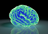 Brain ｜ Analysis ｜ Medical / Medical ｜ DNA / Gene ｜ Bone / Joint ――Free Illustration Material ――Medical ｜ Nursing ｜ Hospital ｜ Person