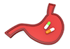 Gastric medicine ｜ Pharmaceuticals ｜ Stomach pain / heartburn / stomach heaviness ｜ Latest treatment / hospital ｜ Bone / joint ――Free illustration material ――Medical ｜ Nursing ｜ Hospital ｜ Person