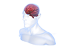 Brain ｜ Internal ｜ X-ray / Medicine ｜ Intravenous / Fever ｜ Command / Brain ――Free illustration material ――Medical ｜ Nursing ｜ Hospital ｜ Person