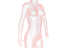 Female body ｜ Human body / medicine ｜ White coat / uniform ｜ Bone / joint ――Free illustration material ――Medical ｜ Nursing care ｜ Hospital ｜ Person