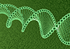 科学｜生命｜医薬品/メディカル｜粉砕/折れる｜お年寄り/老人 - フリーイラスト素材 - 医療｜介護｜病院｜人物