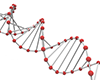 DNA｜ワクチン開発｜研究 - フリーイラスト素材 - 医療｜介護｜病院｜人物