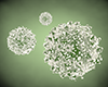 Virus ｜ Inspection ｜ Research ――Free illustration material ――Medical ｜ Nursing ｜ Hospital ｜ Person