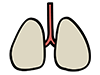 肺 | 内蔵 - 医療｜介護・福祉｜フリーイラスト